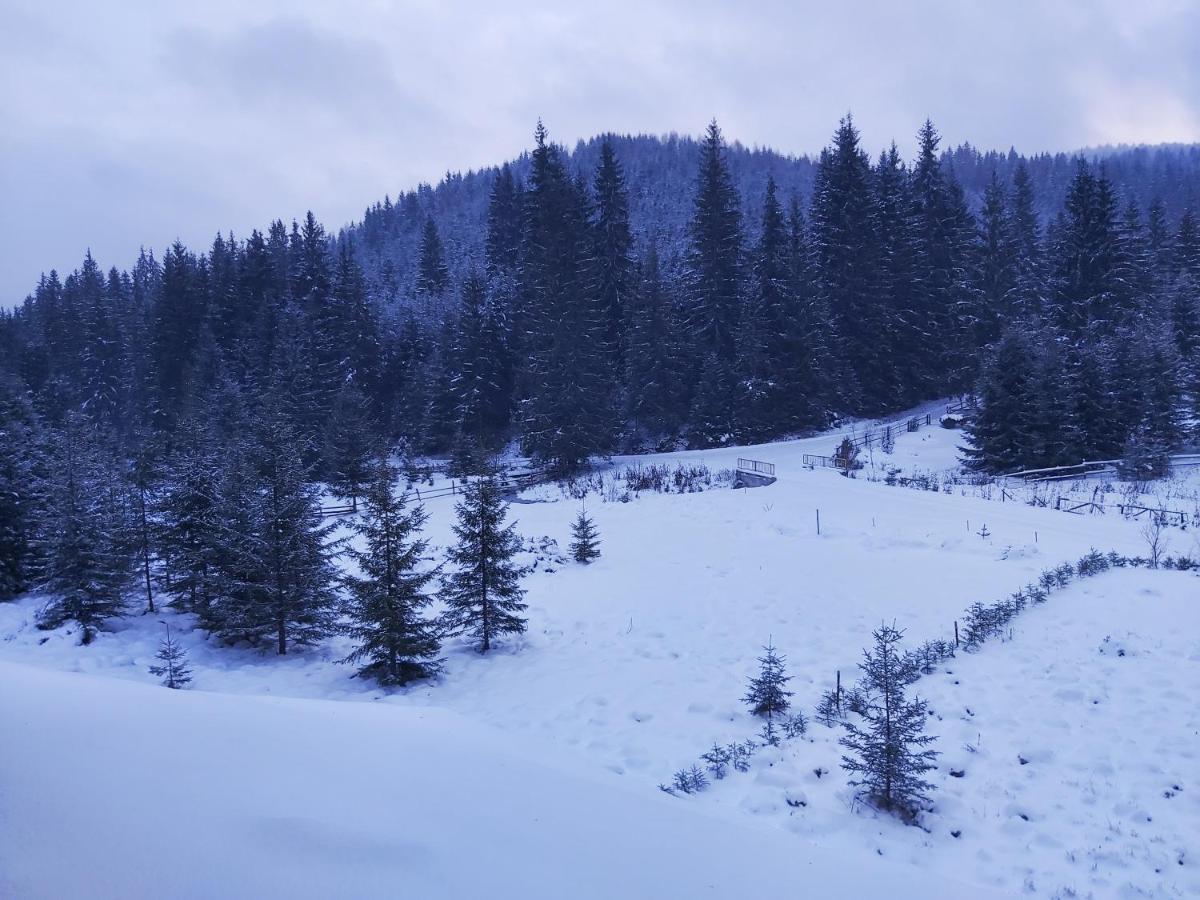 Balendormi Gheorgheni (Harghita)